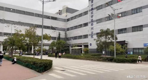 郑州工厂遭遇疫情之际,富士康计划未来两年在印度增聘5.3万人