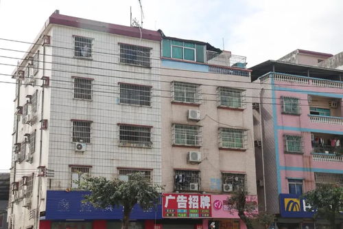 出租屋文明焕新③ 塘厦镇横塘社区打造文明出租屋，为外来人口筑起温暖之家