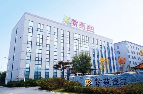 紫燕食品上市首份财报解读 卤味领军者的稳健发展之路