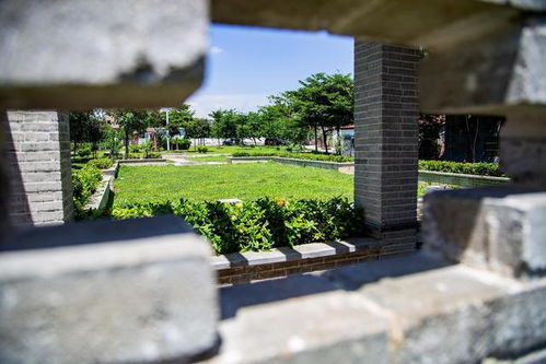 莞家对话｜专访东莞塘厦镇党委书记黄贵洪 共筑外商之家，打造开放新高地